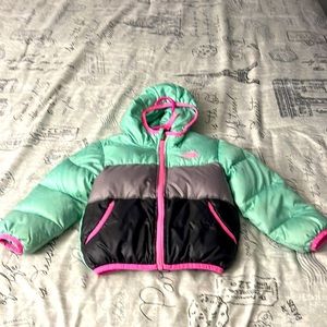 The north face down jacket